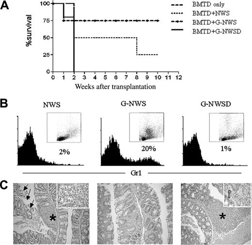 Figure 3. Protective effect of NWS from G-CSF–treated donors over aGVHD is abolished in the absence of granulocytes. (C57BL/6 × BALB/c) F1 mice were lethally irradiated and received T cell–depleted BM alone (BMTD only) or together with nylon wool spleen (NWS) cells, NWS cells from G-CSF–treated donor (G-NWS), or NWS cells from G-CSF–treated donor mice after granulocyte depletion (G-NWSD). (A) Percentages of surviving animals. Log rank: P = .05 between G-NWS and G-NWSD and between BMTD and G-NWS. (B) NWS from C57BL/6 control, G-NWS, or G-NWSD were stained with anti-Gr1 FITC, as indicated in “Materials and methods.” Inset: SSC × FSC dot plots of the same histogram samples (note the high SSC cells in G-NWS that are not present in G-NWSD). (C) Histopathology of the small intestine. Moderate inflammatory infiltrate in the lamina propria (asterisk and inset) associated with extensive epithelial cell sloughing (arrows) of NWS (left panel); villous atrophy and mild inflammatory infiltrate in lamina propria of G-NWS (middle panel) and marked mucosal atrophy, luminal cell debris, and accumulation of inflammatory cells in lamina propria (asterisk) of G-NWSD (right panel). Inset: Apoptotic crypt epithelial cell (broad arrow). Original magnification, 100 × (left panel); 200 × (middle and right panels); 1000 × (inset). Data are from 1 of 2 representative experiments (with 4 to 5 animals/group) for panels A and C and 1 of 5 representative experiments for panel B.