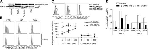 Figure 1. Multiple agents promote VASP phosphorylation in a PKA-dependent manner. Freshly isolated PBLs were stimulated 30 minutes with vehicle, PGE2 (1 μM), forskolin (50 μM), or ISO (10 μM). (A) Cells were then lysed in sample buffer and subsequently analyzed by SDS-PAGE/immunoblotting for VASP expression. (B) Freshly isolated PBLs were treated 20 minutes with vehicle or H89 (10 μM), followed by a 30-minute stimulation with vehicle, ISO (10 μM), PGE2 (1 μM), or PMA (5 nM). PBLs were then analyzed for expression of VASP-phospho-Ser157 by flow cytometry. Histograms show expression of phospho-VASP (x-axis) in vehicle (top) or H89 (bottom) treated cells (open region) and cells with the indicated treatments (filled region). Background fluorescence from isotype control mAb was superimposable for all conditions (not shown). (C) Freshly isolated PBLs were pretreated 5 minutes with serial dilutions of ICI-118551, stimulated 30 minutes with 100 nM or 1 μM ISO, then analyzed for expression of VASP-phospho-Ser157 by flow cytometry. Histograms of phospho-VASP for ISO-stimulated PBLs are shown (top), and the percent inhibition of ISO-stimulated VASP phosphorylation by antagonist is reported as mean ± SD (bottom; n = 3). (D) Freshly isolated PBLs (n = 2) were treated 10 minutes with vehicle or Rp-Br-MB-cAMPs and Rp-8-CPT-cAMPs (100 μM each), followed by 30-minute stimulation with PGE2 (1 μM) or ISO (10 μM). VASP-phospho-Ser157 expression was analyzed by flow cytometry, and raw MFI values (without background MFI subtracted) are reported.
