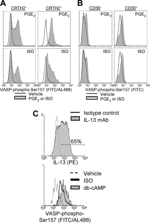 Figure 3. β-agonist-induced PKA activity in type 2 T cells. VASP-Ser157 phosphorylation in CRTH2+ and CRTH2- T cells or CD56+ and CD56- T cells was detected in freshly isolated PBLs after 30 minutes' stimulation with vehicle, PGE2 (1 μM), or ISO (10 μM), as described in “Materials and methods.” VASP-phospho-Ser157 expression is presented in histograms, analyzed in the indicated population within (A) CD161- T cells and (B) CD5+ T cells. Background fluorescence from isotype control mAb was superimposable for all conditions (not shown). Direct comparisons between results in panels A and B cannot be made because amplification of the phospho-VASP signal was only performed in panel A, as explained in “Materials and methods.” (C, top) T cells from CD2-/lo T-cell cultures were stimulated with PMA + calcimycin and analyzed for cytokine production (filled region, fluorescence from IL-13 staining; open region, background fluorescence from isotype control mAb). The preparation was more than 99% CD3+ and less than 5% IFN-γ+ (not shown). (C, bottom) In parallel, VASP-phospho-Ser157 was detected in this T-cell population after 30 minutes' stimulation with vehicle, ISO (10 μM), or db-cAMP (200 μM).