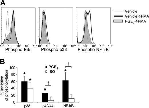 Figure 6. Regulation of p42/p44, p38, and NF-κB phosphorylation in T cells. PHA-stimulated PBLs were cultured 14 days. After culture, the T cells were treated 15 minutes with vehicle, PGE2 (1 μM), or ISO (10 μM), then stimulated 10 minutes with 5 nM PMA. The cells were then analyzed for phosphorylation of ERK, p38, and NF-κB by flow cytometry. (A) Representative histograms are shown for the effects of PGE2 on PMA-induced phosphorylation. (B) The percent inhibition (mean ± SD, n = 4-6) of PMA-induced phosphorylation is presented for each condition (bottom). *P < .05 versus zero-inhibition; †P < .05 for effects of PGE2 versus ISO.