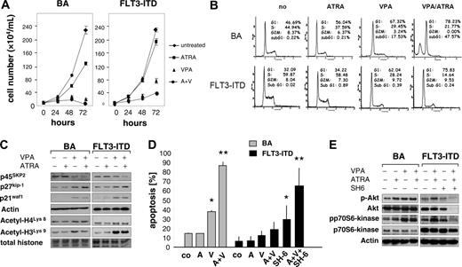 Figure 1. Differential effects of VPA/ATRA on cell cycle and apoptosis in BCR/ABL- and FLT3-ITD–transformed cells. (A) VPA, ATRA, and VPA/ATRA (A+V)–mediated proliferation inhibition in BCR/ABL (BA)–and FLT3-ITD–transformed 32D cells. Values indicate mean ± SD at each time point of 3 different experiments. (B) Cell-cycle distribution of BA and FLT3-ITD cells after treatment with indicated compounds for 72 hours. (C) Western blot analysis of protein lysates harvested after 48 hours of treatment with indicated compounds. Actin and total histone served as loading control. (D) Measurement of apoptosis using Annexin-FITC/propidium iodide staining after cells had been treated with VPA (V), ATRA (A), VPA/ATRA (A+V), or VPA/ATRA/SH-6 (A+V+SH-6) for 96 hours. Values represent mean ± SD of 3 independent experiments. Statistical significance of differences between the percentage of apoptosis after no treatment (co) and treatment with the respective compounds were assessed by Mann-Whitney U-test as indicated (*P < .01; **P < .001). (E) Western blotting of 30 μg protein lysates of 32D-BA and 32D-FLT3-ITD cells obtained after treatment with indicated compounds for 48 hours.