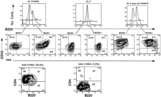 Figure 2. Stimulation of mouse bone marrow cells by rIL-7 and/or scIL-7/HGFβ in vitro. Freshly harvested BM cells from IL-7-/- mice were cultured in RPMI-1640 containing 2-ME in the presence of 10 ng/mL rIL-7 or 30 ng/mL scIL-7/HGFβ, or both. Nonadherent cells were harvested at day 17 and analyzed by flow immunocytometry. Top row shows representative histograms of B220+ and B220- cells in each culture. The vertical standards indicate the peaks (or theoretical peak; dashed line) of florescence intensity and are used to eliminate most of the overlap regions between the peaks. Middle row shows the contour plots for CD43 and HSA of the B220- and B220+ cells to the left and right of the peaks in the top row. The various fractions of developing B-lineage cells and their relative proportions in the B220- and B220+ cell subsets are indicated for each quadrant. Bottom row shows the relative proportions of fractions Ao (CLPs), A1 (early pre-pro-B cells) and A2 (late pre-pro-B cells).