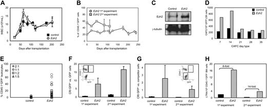 Figure 3. Overexpression of Ezh2 in HSCs. (A) WBC counts of mice given transplants with BM cells transduced with control (▪) or Ezh2 () vectors (n = 11 recipients per group, 2 independent experiments). Mean values plus or minus standard error of the mean (SEM) are shown. (B) Chimerism at different time points after transplantation. The percentage of donor-derived transduced CD45.1+GFP+ WBCs is shown. Average values ± 1 SEM of 2 independent experiments are shown. (C) Ezh2 protein expression in the spleen about 120 days after primary transplantation of control or Ezh2 CD45.1 BM cells. (D) CAFC frequencies of sorted LSK GFP+ cells 120 days after primary transplantation (control, ▪; Ezh2, ). (E) Chimerism levels of secondary recipients, competitively transplanted with various ratios (2:1, ⋄; 1:1, ○; 1:2, □; 1:5, ▵) of transduced/nontransduced and freshly isolated BM cells, analyzed 3 months after transplantation. Values show data from individual recipients in 2 independent experiments (n = 35/group). (F) CRI calculated for CD45.1+GFP+ (transduced) versus CD45.1+GFP- (nontransduced) cells (see insert). Values (+ 1 SEM) are averages 3 months after secondary transplantation, based on 11 and 24 individual mice in the first and second experiment, respectively (control, ▪; Ezh2, ). (G) CRI calculated for transduced cells (CD45.1+GFP+) compared to freshly isolated BM cells (CD45.2+; see insert). Averages values (+ 1 SEM) of 11 and 24 individual mice of the first and second experiment, respectively, are shown (control, ▪; Ezh2, ). (H) LTRA frequencies in CD45.1+GFP+ (transduced) cell fractions calculated from limiting dilution analyses 3 months after secondary transplantation in 2 independent experiments (control, ▪; Ezh2, ).