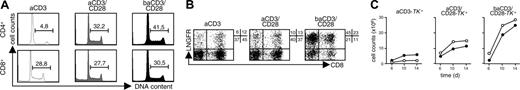 Figure 1. Costimulation through baCD3/CD28 efficiently generates TK+ human lymphocytes with a preserved CD4/CD8 ratio. PBMCs (5 × 106) were stimulated either with aCD3, aCD3/CD28, or baCD3/CD28. (A) After 48 hours, CD4+ (top row) or CD8+ cells (bottom row) were analyzed by flow cytometry for DNA content. The horizontal lines overlie cells in the S/M phase of the cell cycle with the relative percentages. Results with cells from one representative donor of 2 are shown. (B) At 48 and 72 hours after stimulation, cells were transduced with the RV. At day 6, TK+ cells were quantified by flow cytometry as LNGFR-expressing cells, along with staining for CD8. Quadrants were set according to isotype-control staining. The inserts report the percentages of cells for each quadrant. Results with cells from one representative of 5 different donors are shown. (C) At days 6, 10, and 14, cells were counted by trypan blue exclusion and analyzed by flow cytometry. Cell counts for CD4+ (○) or for CD8+ (•) TK+ lymphocytes are reported over time. Results with cells from one representative donor of 4 are shown.