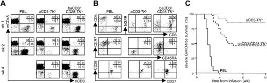 Figure 6. baCD3/CD28-TK+ human lymphocytes induce severe GvHD in NOD/scid mice. NOD/scid mice were conditioned, infused intraperitoneally with 20 × 106 PBLs or aCD3- or baCD3/CD28-TK+ lymphocytes and followed for human chimerism and incidence of severe GvHD. (A) Human chimerism was assessed weekly by flow cytometry after staining for human CD3 and mouse CD45. Quadrants and percentages were set according to isotype control staining. The inserts report the percentages of cells for each quadrant. Results from a single representative mouse per condition are shown over weeks 1, 2, and 4. (B) At week 1, engrafting cells were analyzed by flow cytometry for CD8 and CD4 or LNGFR expression (top dot plots). After gating for CD3, cells were also analyzed for CD45RA and CCR7 expression (middle dot plots) or for CD27 and CD28 expression (bottom dot plots). Quadrants and percentages were set according to isotype-control staining. The inserts report the percentages of cells for each quadrant. Results from a single representative mouse per condition are shown. (C) Mice were followed for severe GvHD-free survival over time. Severe GvHD was defined as weight loss greater than 5% concomitant to human chimerism greater than 10%. In the study 25 mice were infused with PBLs, 27 with aCD3/CD28-TK+, and 27 with baCD3/CD28-TK+ lymphocytes. Cells were derived from 7 human donors. For overall results on engraftment and incidence of severe GvHD, see Table 1.