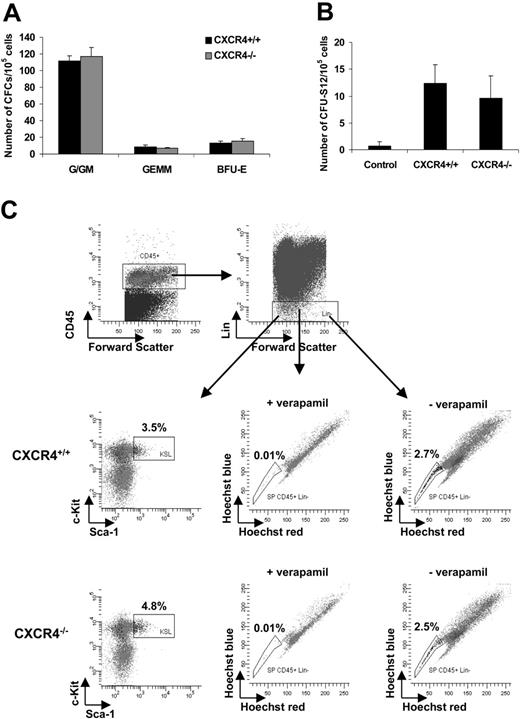Figure 1. HSPC content in E14.5 CXCR4+/+ and CXCR4–/– livers. (A) CFC number in CXCR4+/+ and CXCR4–/– FL cells. Data represent the mean ± SD number of colonies for each genotype and for 2 dilutions of FL cells (105 and 2 × 105 cells plated per dish) in 3 independent experiments performed in duplicate. Colony numbers are expressed for 105 cells. G indicates granulocyte; GM, granulocyte macrophage; GEMM, granulocyte erythrocyte megakaryocyte macrophage; and BFU-E, erythroid burst-forming unit. (B) The day 12 CFU-S potential of CXCR4+/+ and CXCR4–/– FL determined by injecting 5 × 104 and 105 cells for each genotype per recipient. The data represent the mean ± SD number of colonies scored for each genotype and for control uninjected mice. Results are expressed for 105 cells (n = 3 independent experiments with 10 mice injected per dilution). (C) Representative flow cytometry analysis of hematopoietic stem cells staining using Hoechst 33342 as described by Goodell et al.32 Afterward, CXCR4+/+ and CXCR4–/– FL cells were stained with lineage-specific antibodies and the stem cell markers Sca-1 and c-Kit. The dead cells were previously excluded by 7-AAD staining. The primitive Sca-1+ c-Kit+ and SP cells were analyzed in the CD45+ Lin– gate and their relative percentages are shown.