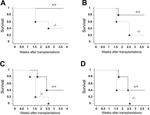 Figure 2. Hematopoietic radioprotection deficiency in CXCR4–/– FL cells. Lethally irradiated recipient mice received transplants of 4 limiting dilutions of E14.5 CXCR4+/+ and CXCR4–/– FL cells: 2 × 106 (A), 106 (B), 0.5 × 106 (C), and 0.25 × 106 (D) cells injected per mouse; n = 5 mice per cell dose and per genotype. Recipients were monitored daily during the first 2 weeks and weekly until week 4 after transplantation. Survival data were analyzed using a log-rank nonparametric test and the results are expressed as Kaplan-Meier survival curves.