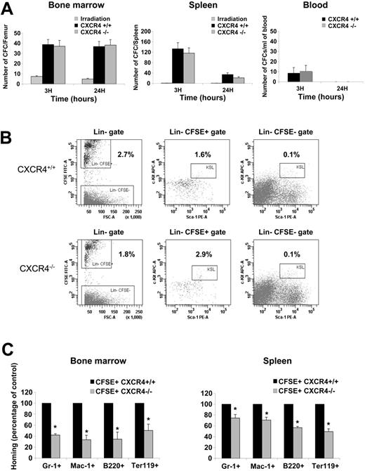 Figure 4. Analysis of homed CFSE+ cells. (A) BM, spleen, and blood were harvested after 3 and 24 hours homing and assayed for the CFC potential in a semisolid medium. The homing of hematopoietic progenitors was assayed by histogram profiles showing either the absolute number of CFCs recovered from one femur, the absolute number of CFCs recovered per spleen, or the number of CFCs obtained per mL of blood harvested from irradiated uninjected mice, CXCR4+/+ CFSE+–injected mice, and CXCR4–/– CFSE+–injected mice. BM and spleen histogram bars represent the mean ± SD of 4 independent experiments (3 mice/genotype/time), whereas blood histogram bar represents the mean ± SD of 2 independent experiments (3 mice/genotype/time). (B) Representative multiparametric flow cytometry analysis of CXCR4+/+ CFSE+–and CXCR4–/– CFSE+–homed cells in the BM after 3 hours homing. Cells have been first gated in a large morphologic gate including lymphocytes, monocytes, and granulocytes then viable cells (excluding 7AAD dye) were analyzed for lineage markers staining in order to draw a Lin– gate. The percentage of Lin– cells was similar between CXCR4+/+- and CXCR4–/–-injected animals and represented about 10% of viable cells. After that, Lin– gate served for the further analysis as shown in the figure. Percentages are shown and represented means of 4 independent experiments. The differences observed for Lin–CFSE+ and Lin–Sca-1+c-Kit+CFSE+ cell populations between CXCR4+/+- and CXCR4–/–-injected mice were statistically significant (P = .019 and P = .006, respectively). (C) BM and spleen were harvested after 3 hours' homing, and multiparametric flow cytometry analyses were performed in order to study CXCR4–/– populations that exhibited homing deficiency. Results are represented as percentage of control homed CXCR4+/+ cells in each organ of 2 independent experiments. *P < .01.