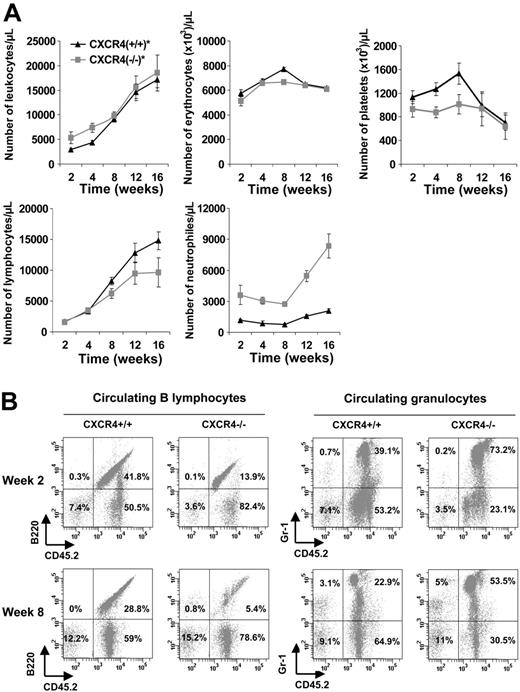 Figure 5. Hematology parameters of mice reconstituted with CXCR4+/+ and CXCR4–/– FL cells. Lethally irradiated C57BL/6-Ly5.1 mice received transplants of 5 × 106 cells per mouse. CXCR4+/+ and CXCR4–/– mice displayed similar levels of peripheral chimerisms. (A) Blood samples were analyzed from 2 to 16 weeks after transplantation for the hematology parameters using an MS9 Counter. Each point represents the mean ± SD of absolute numbers scored from mice that received CXCR4+/+ transplants (n = 6; ▴, CXCR4+/+) and mice that received CXCR4–/– transplants (n = 5; ▦, CXCR4–/–). (B) Representative flow cytometry analysis of peripheral blood leukocytes in CXCR4+/+ and CXCR4–/– mice 2 and 8 weeks after transplantation. Cells were dually labeled with either mAb Gr-1 to detect granulocytic cells or mAb B220 to detect B lymphocytes and anti-CD45.2 to detect donor-derived cells. The same animals were followed at 2 and 8 weeks after transplantation. The percentages are calculated based on total viable blood cells.