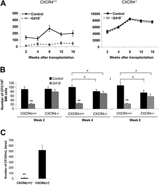 Figure 6. Hematopoietic progenitor cell mobilization in unperturbed CXCR4–/– chimeras. Animals engrafted with 5 × 106 FL cells were analyzed between 2 and 16 weeks after transplantation. (A) CFC potential in the peripheral blood of CXCR4+/+ and CXCR4–/– chimeras from 2 to 16 weeks after transplantation. Red cells were lysed and blood cells were plated in semisolid medium for CFC assay in standard conditions (control, solid line) or in the presence of 600 μg/mL G418 (G418, broken line) in duplicate. Data represent the mean ± SD number of colonies scored for CXCR4+/+ (n = 6) and CXCR4–/– (n = 5) blood samples in 3 independent experiments performed in duplicate. (B) CFC potential in the bone marrow of CXCR4+/+ and CXCR4–/– chimeras from 2 to 8 weeks after transplantation. BM cells were plated in semisolid medium for CFC assay in standard conditions (control, ▪) or in the presence of 600 μg/mL G418 (G418, ▦) in duplicate. Data represent the mean ± SD number of colonies scored for CXCR4+/+ (n = 5) and CXCR4–/– (n = 5) BM samples in 2 independent experiments performed in duplicate. *P < .01; **P < .001. (C) Number of CFUs-S in the peripheral blood of CXCR4+/+ and CXCR4+/+ chimeras by injections of 20 μL total blood for each genotype in syngeneic lethally irradiated mice (10 mice injected per blood donor). Data represent the mean ± SD number of colonies of scored CFUs-S in 2 independent experiments. **P < .001.
