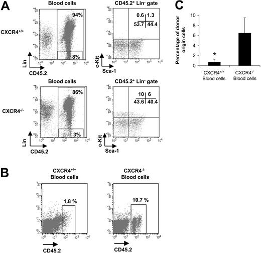 Figure 7. Circulation of short-term hematopoietic reconstituting cells in CXCR4–/– chimeras. Week-8 posttransplantation animals that were engrafted with 5 × 106 FL cells were used. (A) Blood cells were stained with anti-CD45.2 mAb to identify donor-derived cells (chimerism), a cocktail of specific lineage mAbs (Lin), 7-AAD for cell viability, and the stem cell markers Sca-1 and c-Kit. Two different gates are shown in the figure: one represented CD45.2+ donor–derived cells and the other represented CD45.2+ Lin– populations. Arrows indicate that the Sca-1/c-Kit profiles were analyzed within the CD45.2+ Lin– gates. Data are representative profiles obtained for each CXCR4+/+ (n = 6) and CXCR4–/– (n = 5) chimera. (B) Peripheral blood was harvested from CXCR4+/+ and CXCR4–/– chimeras from the retro-orbital sinus. One hundred microliters of whole blood sample was mixed with 1.5 × 105 Ly5.1 host–derived BM cells and transplanted in lethally irradiated C57BL/6-Ly5.1 mice (500 μL blood volume from either CXCR4+/+ or CXCR4–/– mice was used to engraft 5 mice per genotype). The recipients were analyzed 5 weeks after transplantation. Representative FACS profiles assayed from both groups are shown. Blood was stained with anti-CD45.2 to identify donor-derived cells. (C) These results are summarized as histogram profiles showing the mean ± SD of percentages of circulating CD45.2+ cells in 2 independent experiments (5 mice per genotype and per experiment). *P < .01.