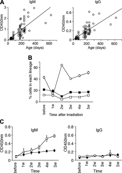 Figure 1. Natural anti-αGal Ab levels and the influence of 3-Gy irradiation. (A) ELISA assay demonstrating that IgM and IgG natural anti-αGal Ab levels in naive GalT–/– mice increase with age. Serum was isolated from naive GalT–/– mice and anti-αGal Ab levels were assessed by ELISA (n = 81). OD indicates optical density. (B) Three-gray irradiation decreases B-cell numbers in GalT–/– mice (n = 5 in each group). The percentage of CD4+, CD8+, and B lymphocytes in PBCs was assessed by flow cytometry. CD4+ cells (□), CD8+ cells (▪), CD19+ cells (○). (C) Influence of 3-Gy irradiation on anti-αGal Ab levels were assessed by ELISA. IgM anti-αGal Abs rise at 3 weeks after irradiation in the absence of GalT BMT. Irradiated mice (□), nonirradiated control mice (•;n = 7, respectively). Error bars indicate SE.
