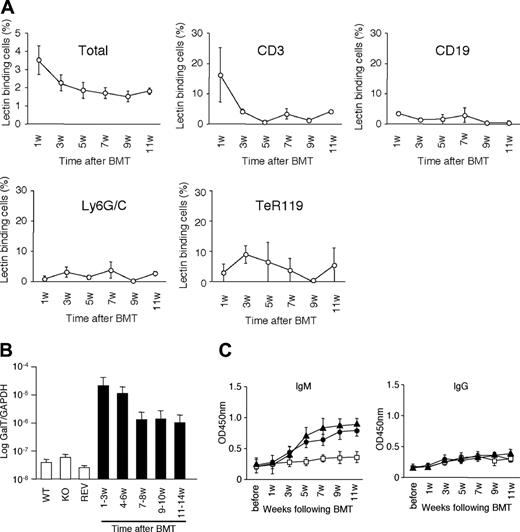 Figure 3. In vivo chimerism level and anti-αGal Ab levels over time. (A) αGal expression assessed by flow cytometry as lectin-IB4 binding cells in various cell lineages in the peripheral blood of GalT-transduced BMT mice (n = 5). Whole PBCs (Total), T cells (CD3), B cells (CD19), granulocytes (Ly6G/C), erythroid lineage cells (TeR119). Data are shown as mean ± SE. (B) Genomic integration of GalT was assessed by quantitative PCR. Lentiviral vector–specific forward primer and porcine GalT–specific reverse primers were used for quantitative genomic PCR (n = 5 each). Data are shown as mean ± SE. KO indicates knockout. (C) Anti-αGal Ab levels were assessed by ELISA in GalT BMT (□), REV BMT (•), IR controls (▴) (n = 5 each). Xenoantibodies that bind to αGal are not produced in GalT BMT mice. Data are shown as mean ± SE.
