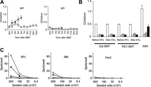 Figure 6. Tolerance induction in GalT BMT mice. (A) Anti-αGal Ab levels were assessed by ELISA at 15 weeks after BMT in mice that received transplants of WT hearts. REV BMT mice received transplants of WT hearts at 4 weeks after BMT and were killed when they rejected the graft; therefore, this data ends at 5 weeks. GalT-transduced BMT mice (□), REV (•) (n = 5 each). (B) Levels of IgG subtypes in the sera were analyzed by ELISA before BMT, 9 weeks after BMT in GalT-transduced BMT mice, and 5 weeks after BMT in REV BMT mice (n = 5 each). □ indicates IgG1; ▦, IgG2a; ▧, IgG2b; and ▪, IgG3. IMM indicates immunized control mice (n = 5 each); HTx indicates heart transplantation. (C) To assess the existence of anti-αGal Ab–producing cells, spleen, BM, and PerCs were collected and assessed using an ELISPOT assay. Anti-αGal Ab–producing B cells are not detected in GalT BMT chimeras. GalT-transduced BMT mice (□), REV (•), WT (▪), immunized GalT–/– mice (○) (n = 5 each). Data are shown as mean ± SE.