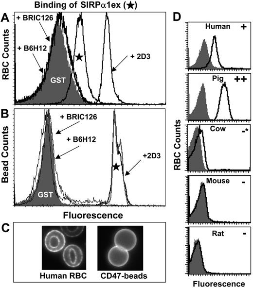 Figure 2. Human SIRPα 1ex binding to RBCs is CD47 specific and species specific. Human RBC (A) or Ig-CD47-coated beads (B) were incubated with soluble SIRPα1ex or GST, and bound protein was detected in flow cytometry using fluorescent anti-GST. SIRPα1ex specifically binds to human RBCs whereas GST does not. Blocking antibodies (B6H12 and BRIC126) inhibit the CD47-SIRPα interaction. 2D3, a nonblocking antibody, enhances SIRPα1ex binding to RBCs but not Ig-CD47 beads, probably by ability to cluster CD47 (C). Using the same methodology, RBCs from 5 mammalian species were labeled with SIRPα1ex or GST (D) under standardized conditions of cell number and reagent concentration. Human SIRPα1ex binds to human RBCs as expected and does not bind to RBCs from cow, mouse, or rat. Human SIRPα1ex also binds to pig RBCs and results in higher intensity in comparison to human RBCs. Note that * indicates a slight signal above background.