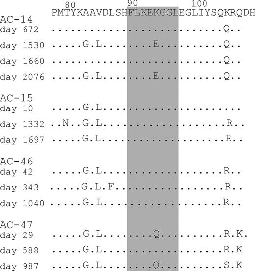 Figure 6. Sequencing of autologous virus. Bulk sequencing of autologous viral sequences derived from AC-14, AC-15, AC-46, and AC-47 covering the B8-FL8 epitope and its flanking regions derived from different time points over the course of the study period.