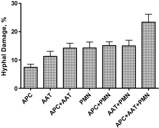 Figure 6. Hyphal damage to A fumigatus induced by anti-Aspergillus T cells, polymorphonuclear leukocytes, and APCs, alone or in combination. The combination of PMNs, anti-Aspergillus T cells, and APCs resulted in the highest hyphal damage compared with all other settings (P < .001). Columns represent means ± SEM. AAT indicates anti-Aspergillus T cell.