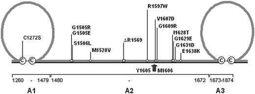Figure 1. Distribution of VWD type 2A mutations. A schematic representation of the A1 through A3 domain of von Willebrand factor (VWF) is shown. The A1 and A3 domains are characterized by a loop structure of 187 amino acids formed by disulfide bonds between C1272 and C1458 (A1 domain) and C1686 and C1872 (A3 domain), respectively. With the exception of C1272S all VWD type 2A mutations are located within the A2 domain of VWF. The arrow marks the proteolytic cleavage site for ADAMTS13 between residues Y1605 and M1606. The cysteines involved in loop-structure formation are shown in circles.