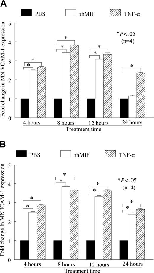 Figure 1. rhMIF up-regulates VCAM-1 and ICAM-1 expression on human PB MNs by cell-surface ELISA. (A) MNs (1 × 106 cells/well) were incubated in 96-well plates in RPMI with 5% FBS for 2 hours at 37°C. Medium was switched to serum free for 6 to 8 hours to achieve quiescence. MNs were stimulated with rhMIF (50 nM), and cell-surface ELISAs were performed. rhMIF induced a time-dependent increase in MN VCAM-1 expression. rhMIF-induced VCAM-1 expression became significantly higher at 4 hours, and it decreased to the basal level after 24 hours (*P < .05). TNF-α served as a positive control. Fold change in VCAM-1 expression compared with PBS is shown. (B) rhMIF induced expression of ICAM-1 in a time-dependent manner. rhMIF increased ICAM-1 expression at 4 hours, and the maximum response was between 8 and 12 hours. ICAM-1 expression in MNs remained significantly higher even after 24 hours compared with PBS (*P < .05). Panel B shows fold increase in ICAM-1 up-regulation compared with PBS. Data represent the mean of 4 individual experiments (n) ± SEM. *P < .05 was considered significant.