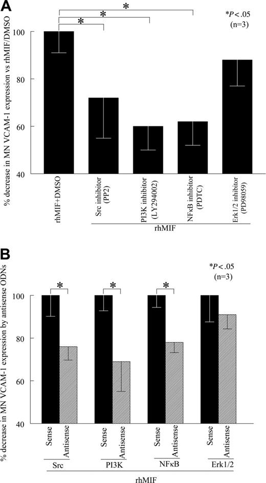 Figure 3. rhMIF induces MN VCAM-1 expression via Src kinase, PI3K, and NFκB. (A) To define the signaling mechanisms involved in VCAM-1 up-regulation by rhMIF, MNs were incubated in 96-well plates. Signaling inhibitors (10 μM) were added to the cells an hour before stimulating with rhMIF and remained in the medium during the experiments. MNs were stimulated with rhMIF for 8 to 12 hours in the presence and absence of different signaling inhibitors. rhMIF-induced VCAM-1 expression was significantly inhibited by an Src inhibitor, PP2, a PI3K inhibitor, LY, and a NFκB inhibitor, PDTC, (*P < .05). PD, an Erk1/2 inhibitor, did not inhibit VCAM-1 expression, suggesting that rhMIF induces VCAM-1 expression in MNs via Src, PI3K, and NFκB, whereas Erk1/2 is not involved in VCAM-1 expression. VCAM-1 up-regulation by rhMIF was more than 2-fold compared with nonstimulated MNs. (B) To confirm our results, we transfected MNs with sense and antisense ODNs of Src, PI3K, NFκB, and Erk1/2 before stimulating cells with rhMIF using lipofectAmine Plus reagent in cell-surface ELISAs. MNs (1 × 106 cells/well) were incubated in 96-well plates in RPMI with 5% FBS for 2 hours at 37°C, and medium was switched to serum free. MNs were transfected with ODNs for 24 hours before stimulation with rhMIF (50 nM). MNs were stimulated with rhMIF for 8 to 12 hours. rhMIF-induced VCAM-1 expression was significantly decreased by antisense ODNs of Src, PI3K, and NFκB compared with MNs transfected with corresponding sense ODNs (*P < .05) using an ELISA. We did not find a decrease in rhMIF-induced VCAM-1 expression by antisense ODNs of Erk1/2. Data represent the mean of 3 individual experiments (n) ± SEM. *P < .05 was considered significant.
