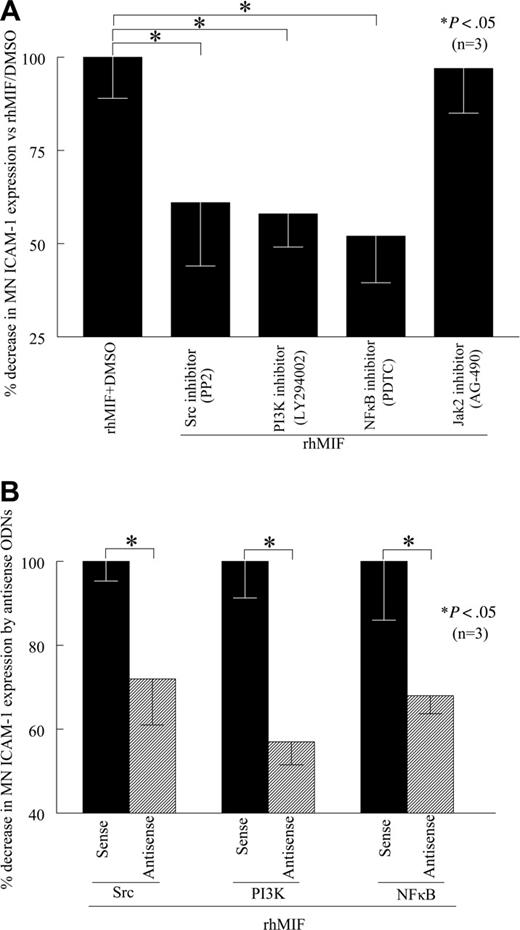 Figure 4. rhMIF induces MN ICAM-1 up-regulation via Src kinase, PI3K, and NFκB. (A) To investigate the signaling cascades involved in ICAM-1 up-regulation by rhMIF, we performed cell-surface ELISAs using chemical signaling inhibitors. rhMIF-increased ICAM-1 expression was significantly inhibited by an Src inhibitor, PP2, a PI3K inhibitor, LY, and a NFκB inhibitor, PDTC, (*P < .05) but not by a Jak2 inhibitor, AG-490, suggesting that rhMIF induces ICAM-1 expression in MNs via Src, PI3K, and NFκB. rhMIF induced a 3-fold increase in MN ICAM-1 expression compared with NS. (B) rhMIF-induced ICAM-1 expression was significantly decreased by antisense ODNs of Src, PI3K, and NFκB compared with MNs transfected with sense ODNs of Src, PI3K, and NFκB in 8 to 12 hours (*P < .05). Panel B shows the percentage of inhibition in ICAM-1 expression by antisense ODNs of Src, PI3K, and NFκB compared with corresponding sense ODNs. Data represent the mean of 3 individual experiments (n) ± SEM. *P < .05 was considered significant.