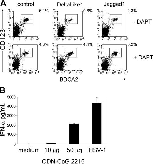 Figure 2. Notch triggering by DL1, but not Jag1, blocks pDC development from thymic progenitor cells. (A) CD34+CD1a- cells were cocultured with OP9-DL1, OP9-Jag1, or control cells in the presence or absence of 10 μM γ-secretase inhibitor DAPT. Cultures were analyzed for the presence of CD123hiBDCA2+ pDCs after 1 week of culture. Experiment is representative of 3. (B) At day 5 after culture of CD34+CD1a- cells on OP9 control cells, either CpG-ODN (2216) was added at different concentrations (10 or 50 μg/mL), or HSV-1 was added at 1 pfu/cell for 18 hours. Supernatants were analyzed in duplicate for the presence of IFN-α by ELISA. One representative experiment of 2 is shown.