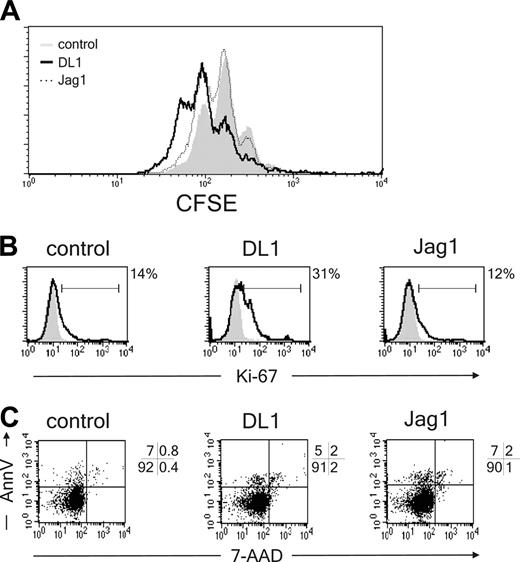 Figure 4. DL1 does not affect pDC proliferation or apoptosis. (A) CD34+CD1a- cells were labeled with CFSE and cocultured with OP9-DL1, OP9-Jag1, or control cell lines. CFSE content of BDCA2+CD123hi pDCs was analyzed after 1 week of coculture (n = 3). (B) CD34+CD1a- cells were cocultured with OP9-DL1, OP9-Jag1, or control cell lines and analyzed after 1 week of culture for the percentage of Ki-67+ pDCs. Percentages of Ki-67+CD123hiBDCA2+ pDCs above background levels are indicated next to the histograms (n = 2) or (C) percentage apoptotic (annexin V+7-AAD-) pDCs (n = 2). Experiments representative of at least 2 experiments are shown.