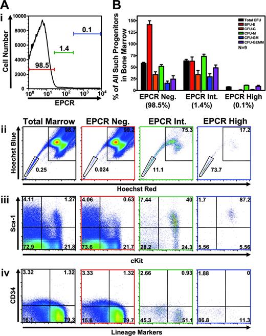 Figure 2. EPCR-expressing marrow correlates with HSC phenotype and shows significant CFU activity. (A) Correlation of expression level of EPCR to HSC phenotype was analyzed by performing multiparameter flow cytometry and gating the indicated intensity of EPCR expression (denoted by colored horizontal bars with percentage of total cells indicated) and replotting gated cells to display the indicated parameters. Frame color of each graph denotes the histogram gate in which plotted cells are found (black frame indicates total bone marrow). Each graph uses the identical set of gates for the specified combination of parameters set using isotype control antibodies. Hoechst profiles are shown with identical SP and MP gates, with top and bottom text indicating percentage of plotted cells falling into MP or SP gates, respectively. Replotting of EPCR-positive cells (gated in the top histogram) to display levels of other markers analyzed (bottom plots) shows that EPCR expression correlates well with enrichment for Sca-1 and c-Kit expression and depletion of CD34 and lineage marker staining. In the experiment shown, nonspecific antibody binding as measured by isotype control using the identical EPCRhi gate accounted for approximately 10% of EPCR-positive cells analyzed (n = 3). Numbers in panels Aii-Aiv represent the percentage of total cells found in each quadrant. (B) Populations gated in panel A were sorted and subjected to methylcellulose-based colony formation assays (CFU) to determine the relative proportion of each progenitor type found within various EPCR-expressing subfractions. Although accounting for only 1.4% of total bone marrow, EPCR intermediate–expressing cells contained a large proportion of colony-forming activity in the marrow. EPCR high–expressing cells, which were most highly enriched for cells exhibiting HSC immunophenotype, showed very little progenitor activity (n = 9). Error bars represent standard deviation.