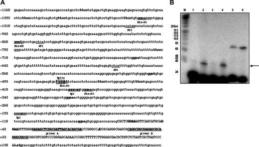 Figure 1. Human PDGF-D promoter analysis. (A) Putative Ets-binding sites (ggaa, ggat, ttcc, atcc) are indicated in bold letters. The 4 Ets-binding sites used in mutational analysis (Figure 3A, Ets-D1, D2, D3, D4) are shown by bold and underlined letters. One nonconsensus (n.c.) Sp1-binding site crossing with Ets-D3 is shown with frame and indicated as Sp1nc. The translational start site is italicized and bolded (CCAGCGC). The primers used for primer extension are shown by bold capital letters and labeled as primer A and B. Capital letters represent 5′-untranslated regions (UTRs). (B) Electrophoretic analysis of 32P-labeled primer extension products. fX174 HinfI DNA markers (lane M) and the products from primer extension reactions using control and PDGF-D primers were separated by electrophoresis on an 8% denaturing polyacrylamide gel. Length (in base pairs) for each DNA HinfI fragment in the marker lane is indicated next to the corresponding band on the autoradiograph. In lanes 1 and 2 the source of the RNA is from early passage SMCs (passage 5) and lanes 3 and 4 from later passage (passage 8) SMCs. In lanes 1 and 3, primer A was used and in lanes 2 and 4 primer B was used. In lanes containing kanamycin-positive control RNA (lane 5 with 2 ng and lane 6 with 5 ng), the top band (87 bp) represents the major cDNA product using the control RNA. The bottom bands (25 bp) in lanes 2 through 6 represent the 32P-labeled primers. The data in panel B are representative of at least 2 independent experiments. The arrow indicates a single 40-bp extension product using primer B.