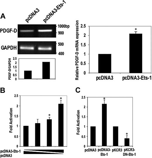 Figure 2. Ets-1 induces PDGF-D expression from mRNA level and transcriptional level. (A) SMCs were transfected with 30 μg Ets-1 expression vector and backbone vector pcDNA3. After 24 hours, total RNA was extracted and semiquantitative RT-PCR (left) or real-time PCR (right) was performed. (B) SMCs were cotransfected with 50, 125, and 500 ng of the Ets-1 expression vector or the corresponding amount of pcDNA3 together with 10 μg p1168PDGF-Dluc plasmid. (C) SMCs were cotransfected with 3 μg Ets-1 plasmid or dominant-negative Ets-1 (DN-Ets-1), respectively, together with 10 μg p1168PDGF-Dluc. Luciferase activity was determined after 24 hours. The data are representative of at least 2 independent experiments. Error bars represent SEM performed in duplicate or triplicate. *P < .05 relative to control using Student t test.