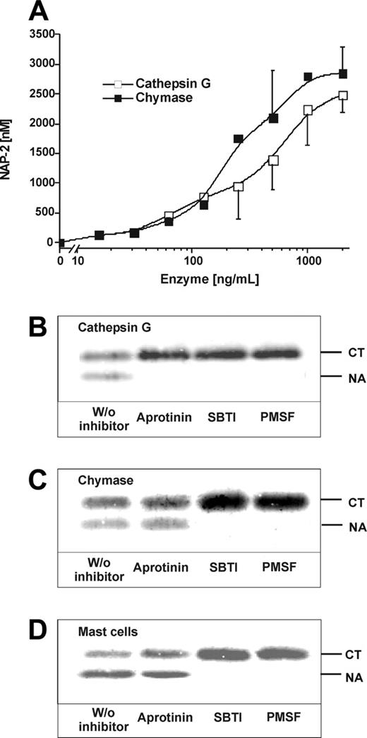 Figure 3. Inhibition of mast cell–and mast cell protease–mediated CTAP-III conversion. Increasing concentrations of purified natural neutrophil CathG and mast cell chymase were incubated with a fixed concentration of 3 μM CTAP-III for 30 minutes at 37°C in processing buffer. Subsequently, 2 μL of each sample was subjected to SDS-PAGE and Western blotting and thereafter stained with Rα-βTG and IRDye 800-conjugated goat α-rabbit antiserum. The amount of generated NAP-2 is shown as assessed by Li-cor quantification against a standard of NAP-2 run in parallel. Data represent mean ± SD from 3 independent experiments (A). Likewise, fixed concentrations of CathG (500 ng/mL) (B) and chymase (250 ng/mL) (C) were incubated with 3 μM CTAP-III under the same conditions in the absence or presence of inhibitors SBTI (1 μg/mL), aprotinin (1 μg/mL), or PMSF (2 mM) for 30 minutes. Correspondingly, human skin MCs (1 × 104/mL) prestimulated with 3 μg/mL α-IgE for 30 minutes were incubated with 3 μM CTAP-III in the absence or presence of inhibitors as indicated above (D). The Western blots shown in panels B-D were performed and developed using the primary and secondary antisera given in Figure 1. The migration of untreated CTAP-III (CT) and NAP-2 (NA) is indicated. For quantification of formed NAP-2, fluorescence of NAP-2-bands was determined by Li-cor analysis and compared with that of 50 ng standardized NAP-2 on the same blot. One representative experiment of 3 is shown.