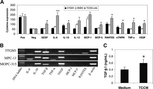 Figure 3. Cytokine profiles of myeloma cells, normal BMDCs, and TCCM-treated BMDCs. (A) Cytokine array analysis showing the relative levels of secreted cytokines in the medium of 5TGM1, normal, and TCCM-treated BMDCs. Positive (Pos) and negative (Neg) controls were included in the array. An arbitrary unit, measured as the density of dots on a membrane for each cytokine in relationship to positive and negative controls, is provided to represent the relative concentration of the cytokines. Representative results of 2 experiments are shown. (B) RT-PCR detecting cytokine mRNA expression in 3 myeloma cell lines. Representative results of 3 experiments are shown. (C) ELISA assay detecting TGF-β1 secretion by 5TGM1 cells. Unconcentrated culture medium of the cell line was used to quantify the secreted cytokine. Results shown are the mean ± SD of 3 experiments. *P < .05; **P < .01 (compared with normal controls).