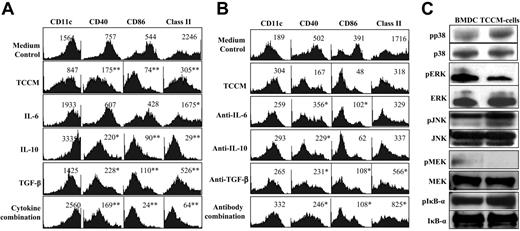 Figure 4. Identifying cytokines and signaling pathways responsible for impairing BMDC differentiation. (A) Expression of DC-related surface markers on normal BMDCs, TCCM-treated BMDCs, or cells in culture with addition of cytokines IL-6, IL-10, or TGF-β individually or in combination. Representative results of 4 experiments are shown. *P < .05; **P < .01 (compared with normal controls). (B) Expression of DC-related surface markers on normal BMDCs, TCCM-treated BMDCs, or cells in cultures with the addition of TCCM and neutralizing antibody, individually or in combination, against IL-6, IL-10, or TGF-β. Representative results of 3 experiments are shown. Cells from d10 cultures were analyzed. Values above histograms represent mean fluorescence intensity. *P < .05 (higher than TCCM-treated cells). (C) TCCM-activated p38 MAPK and inhibited ERK signaling. Western blot analysis showing protein levels of phosphorylated (p) and nonphosphorylated p38, ERK, JNK, MEK, and IκB-α. Lysates from d5 cultures of normal (BMDCs) or with the addition of TCCM (TCCM cells) for 24 hours were prepared for the analyses. Representative results of 3 experiments are shown.