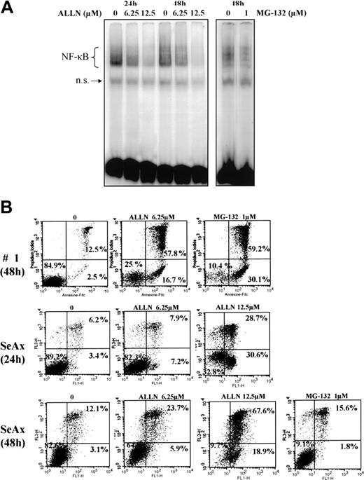 Figure 3. The proteasome inhibitors ALLN and MG132 down-regulate the constitutive activation of NF-κB and induce apoptosis of CTCL cells. (A) Inhibition of NF-κB DNA-binding activity by ALLN and MG-132 in SeAx cells. Nuclear extracts of SeAx cells were prepared and subjected to EMSA as described in “Patients, materials, and methods.” In one case, cells were either not treated (lanes 1 and 4) or treated with 6.25 μM (lanes 2 and 5) or 12.5 μM (lanes 3 and 6) ALLN during 24 hours or 48 hours, respectively. In the other, cells were not treated (lane 7) or treated with 1 μM MG-132 (lane 8) during the last 5 hours of a culture lasting 48 hours. The data shown here are representative of 2 independent experiments. (B) Increase in annexin-V binding in SeAx cells and CTCL cells from one patient with Sézary syndrome. Cells were treated with or without ALLN (6.25 and 12.5 μM) for 24 and 48 hours or with MG-132 (1 μM during the 5 last hours of culture), as indicated above each panel. Annexin-V binding was carried out with an annexin V–FITC detection kit and analyzed by flow cytometry. Abscissa and vertical axis represent the fluorescent intensities of annexin V–FITC and PI, respectively. For each panel, the numbers in the bottom left, bottom right, and top right quadrants indicate the percentages of annexin V–/PI– cells (viable cells), annexin V+/PI– cells (apoptotic, viable cells), and annexin V+/PI+ cells (dead cells by apoptosis), respectively. Results are representative of 1 of 3 independent experiments.