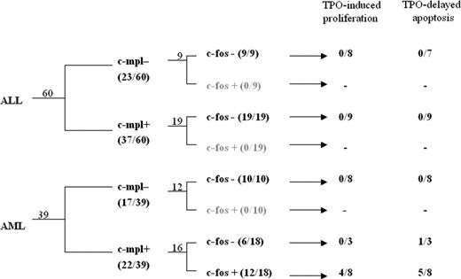 Figure 2. Leukemia subgroups according to c-mpl expression, TPO induced c-fos up-regulation, and TPO-associated functional tests. Flow chart indicating the numbers of patients in each subgroup according to leukemia lineage, c-mpl positivity, and responsiveness to TPO (by c-fos expression, proliferation, or decreased apoptosis).