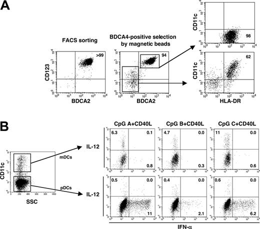 Figure 3. BDCA4+ pDCs isolated by magnetic beads contain CD11c+ mDCs that contribute to IL-12 production. (A) pDCs isolated by cell sorter or by BDCA4-conjugated magnetic beads were analyzed by staining with anti-CD123, anti-BDCA2, anti-CD11c, and anti-HLA-DR mAbs. Data shown are from 1 of 4 independent donors. (B) Using the cells isolated by BDCA4-conjugated magnetic beads, intracellular cytokine production and surface CD11c expression were analyzed by flow cytometry after 8 hours of stimulation with CpG plus CD40L. Numbers in each dot blot profile indicate the percentages of the indicated fractionated cells. Data are from 1 of 3 independent experiments.