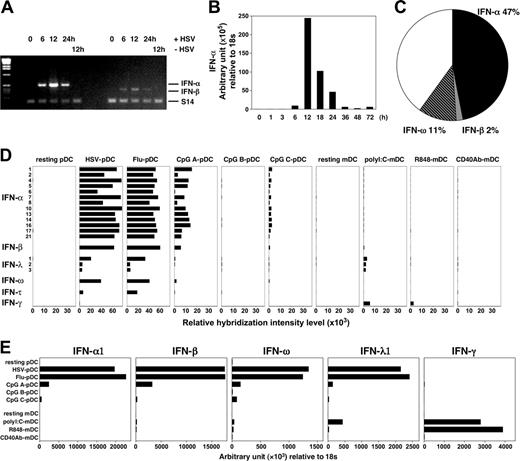 Figure 7. Dominant IFN gene transcription in pDCs after viral activation. (A-B) Purified pDCs were cultured with HSV-1, and cells were collected at different times after stimulation; mRNA expression of IFN-α and IFN-β were then examined by RT-PCR (A) and real-time quantitative PCR (B). (C) Suppression subtraction hybridization was performed with total RNA prepared from purified human pDCs activated with IL-3 and HSV-1, and from cells incubated with only IL-3 for 6 to 8 hours. Percentages of transcripts for IFN-α (121 sequences), IFN-β (5 sequences) and IFN-ω (29 sequences) within 258 random sequences are indicated. (D-E) Expression profiles of the type 1 and 2 IFN family genes in the DCs were analyzed by microarray (D) and real-time quantitative PCR (E). Each graph represents data from pDCs and CD11c+ mDCs, either resting or activated by virus or TLRL for 20 hours. Results of the gene expression profiles (D) are shown as relative hybridization intensity levels in the microarray analysis. Flu indicates influenza virus.