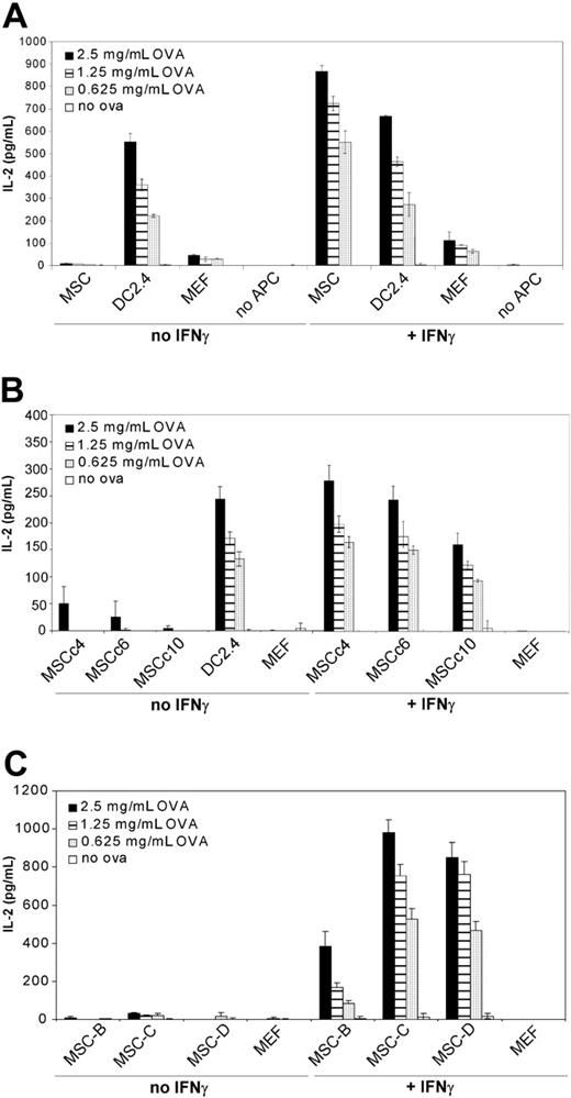 Figure 2. MSC-mediated activation of ovalbumin-specific T-T hybridomas. (A) C57BL/6 MSCs, DC2.4 or MEF (5 × 104 cells) were cocultured for 20 hours with ovalbumin-specific MHC class II-restricted T-T hybridomas (MF2.2D9; 105 cells) in the presence of increasing doses of soluble ovalbumin. Where indicated, recombinant mouse IFNγ (50 ng/mL final) was added to the cocultures. After 20 hours, supernatant was collected and tested for IL-2 release by ELISA. Means of triplicates ± standard deviations of 1 of 5 representative experiments are shown. (B) Same as panel A, except that clonal MSCs obtained by limiting dilution from the initial preparation were used. (C) Same as panel A, except that distinct polyclonal C57BL/6-derived MSC preparations were used. Means of triplicates ± standard deviations of 1 of 2 representative experiments are shown.
