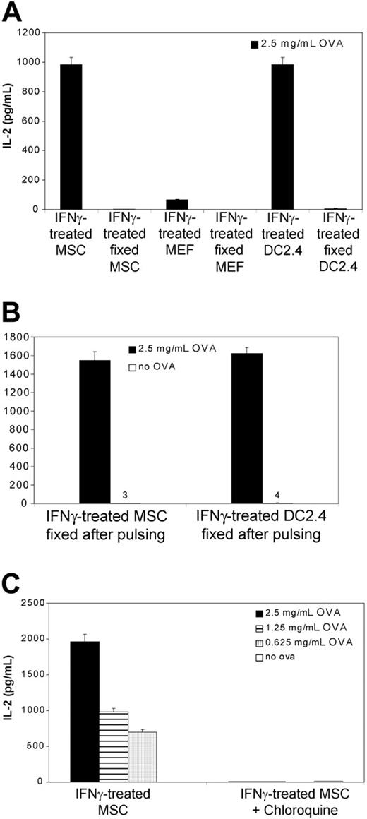 Figure 3. Antigen processing for MSC-mediated antigen presentation. (A) C57BL/6 MSCs, DC2.4, or MEFs (5 × 104 cells) were cocultured for 20 hours with ovalbumin-specific MHC class II-restricted T-T hybridomas (MF2.2D9; 105 cells) in the presence of 2.5 mg/mL soluble ovalbumin. Where indicated, MSCs were treated with IFNγ (50 ng/mL final). Where indicated, MSCs were first fixed with paraformaldehyde prior to coculture. After 20 hours, supernatant was collected and tested for IL-2 release by ELISA. (B) C57BL/6 MSCs or DC2.4 (5 × 104 cells) were first incubated with soluble ovalbumin (2.5 mg/mL) and IFNγ (50 ng/mL final) for 20 hours, then fixed with paraformaldehyde and cocultured for 20 hours with MF2.2D9 hybridomas (105 cells). (C) MSCs (5 × 104 cells) were cocultured for 20 hours with MF2.2D9 cells (105 cells) in the presence of increasing doses of soluble ovalbumin. Where indicated, MSCs were treated with chloroquine (100 μM) 30 minutes prior to and during antigen exposure. Means of triplicates ± standard deviations of 1 of 2 representative experiments are shown.