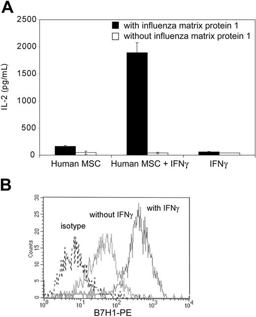 Figure 6. Human MSC-mediated activation of influenza matrix protein 1-specific T-T hybridomas. (A) Bone marrow-derived DR1-positive human MSCs were treated or not for 24 hours with recombinant human IFNγ (100 ng/mL) and subsequently cocultured for 24 hours with influenza matrix protein 1-specific DR1-restricted T-cell hybridomas with or without 100 μg/mL purified influenza matrix protein 1. Supernatant was collected and tested for IL-2 release by ELISA. Means of duplicates ± standard deviations of 1 of 2 representative experiments are shown. (B) Human MSCs were analyzed by flow cytometry for B7-H1 surface expression before and after recombinant IFNγ treatment (100 ng/mL for 24 hours). Plots show isotype control IgG staining profile (broken line) versus specific Ab staining profile (dark line).