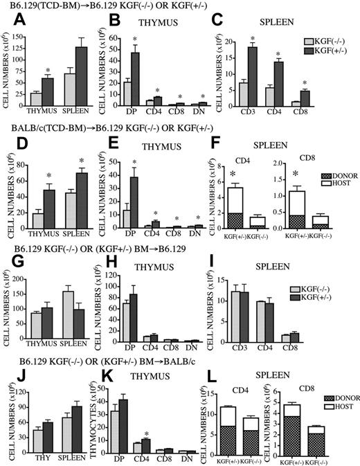 Figure 3. Host-derived KGF is required for thymic reconstitution after syngeneic and allogeneic BMT. Lethally irradiated (1100 cGy) KGF-/- or KGF+/- mice were transplanted with B6.129-WT bone marrow (A-C) or BALB/c BM (D-F). Lethally irradiated (1100 cGy) B6.129 (G-H) or (900 cGy) BALB/c mice (J-L) were transplanted with KGF-/- or KGF+/- BM and were killed at day 28. Thymic and splenic cellularity was determined, and splenic CD3+, CD4+, and CD8+ T-cell numbers were calculated by flow cytometric analysis. Anti-H2d antibody was used to determine the chimerism in allogeneic experiments. Values represent mean (± SEM) and n = 5-11 per group. *P < .05.