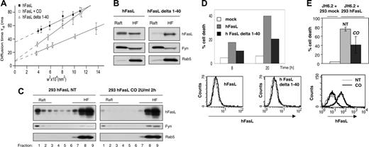 Figure 5. Disruption of rafts and absence of the first 40 intracellular amino acids lead to dislocation of FasL from rafts into disordered membrane fractions and to diminished FasL-induced cell death. (A) Dynamic confinement of GFP-FasL into discrete domains at the plasma membrane is independently prevented by enzymatic modification of cholesterol and deletion of the first 40 intracellular FasL amino acids. COS-7 cells transiently expressing the recombinant GFP-FasL protein were left untreated (▪) or were treated with cholesterol oxidase (□). Alternatively, COS-7 cells were transfected with GFP-FasL delta 1-40 (▵). FCS measurements were performed at 37°C immediately after cellular treatment. (B) Jurkat cells stably transfected with human FasL (hFasL) or hFasL delta 1-40 were solubilized in Brij 98 detergent and subjected to sucrose gradient separation. Immunoblots were performed on pooled heavy (8-9; HF) and light (1-4; Raft) fractions with the indicated antibodies. (C) HEK293 cells stably transfected with human FasL were treated with cholesterol oxidase (2 U/mL) for 2 hours (CO) or were left untreated (NT). Cells were then solubilized in Brij 98 detergent and subjected to sucrose gradient separation before analysis of the raft and nonraft fractions by Western blot. (D) JH6.2 cells were cocultured for 8 or 20 hours with Jurkat cells stably transfected with hFasL or hFasL delta 1-40 or with mock-transfected Jurkat cells. Cell death was then quantified by flow cytometry analysis of propidium iodide–stained ethanol-fixed cells. The graph represents the average of 3 independent experiments, with error bars indicating the SD. Equal cell surface expression of FasL and FasL delta 1-40 in the Jurkat cell clones was demonstrated by flow cytometry analysis (bottom panel). The thin line indicates secondary antibody alone; thick line, Anti-FasL antibody (Nok-1) plus secondary antibody. (E) Aliquots of the FasL-transfected 293 cells (left untreated or treated with 2 U/mL cholesterol oxidase from the experiment described in panel B) were used for a 5-hour coculture with Fas-expressing JH6.2 Jurkat target cells to quantify the killing capacity of FasL. As a control, JH6.2 cells were cocultured with mock-transfected HEK293 cells. The graph represents the average of 3 independent experiments, with error bars indicating SD. Flow cytometry analysis was performed with anti-FasL antibody (Nok-1) to ensure that cell surface expression of FasL was not modified by the cholesterol oxidase treatment (bottom panel). Overlay of profiles obtained for cells incubated with fluorescence-labeled secondary antibody alone or with Nok-1 plus secondary antibody are shown. The thin line indicates not treated (NT) cells; thick line, cholesterol oxidase (CO)–treated cells.