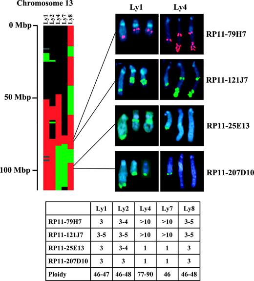Figure 3. Genomic copy number changes of chromosome 13 detected by array-CGH and validated by FISH in lymphoma cell lines. The heat map shows the genomic copy number changes of chromosome 13 in 5 lymphoma cell lines. Red indicates gain; green, loss; black, normal; and gray, unknown. Scale on the left shows physical distance from the telomere of the q arm. FISH analysis of metaphase chromosomes of 2 representative cell lines (Ly1 and Ly4) are shown with 2 BACs (RP11-79H7 and RP11-121J7) exhibiting gain by array-CGH, and with 2 BACs (RP-25E13 and RP11-207D10) showing gain by array-CGH in Ly1 and loss in Ly4. The average number of copies per cell, as detected by FISH analysis and the ploidy of each cell line, are tabulated.
