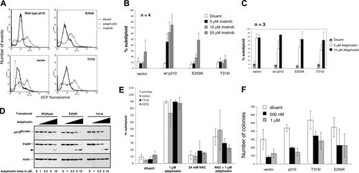 Figure 1. Adaphostin elevates intracellular peroxide and induces cytotoxicity in BaF3 cells transduced with imatinib-resistant BCR/ABL. (A) BaF3 cells transduced with vector alone, wild-type p210 BCR/ABL, T315I BCR/ABL, or E255K BCR/ABL were exposed to diluent (dark solid line), 10 μM adaphostin (light solid line), or 10 μM imatinib (dotted line) for 1.5 hours. After cells were stained with CMH2DCF-DA, fluorescence was read on the FL-1 channel of a Becton Dickinson FACSCalibur. These results are representative of 3 independent experiments. (B,C) BaF3 cells transduced with vector, wild-type bcr/abl, T315I BCR/ABL, or E255K BCR/ABL were exposed to either diluent (ā”), 5 μM (āŖ), 10 μM (āØ), or 20 μM (ā¦) imatinib (B) or to diluent, 5 μM, or 10 μM adaphostin (C). DNA fragmentation was assessed by PI staining. (D) The degradation of bcr/abl was assessed by Western blotting in BaF3 cells overexpressing wild-type p210BCR/ABL, T315I BCR/ABL, and E255K BCR/ABL after 8 hours of exposure to 0, 1, 2.5, 5, or 10 μM adaphostin. The same membrane was probed with antibody to the caspase substrate PARP31 as a marker of cell death and with antibody to actin as a loading control. (E) BaF3 cells overexpressing vector only (ā”), wild-type p210BCR/ABL (ā¦), T315I BCR/ABL (āŖ), or E255K BCR/ABL (āØ) were exposed for 24 hours to diluent, 24 mM NAC, 1 μM adaphostin, or 24 mM NAC and 1 μM adaphostin together. DNA fragmentation was assessed by PI staining as described in āMaterials and methods.ā Decrease in adaphostin-induced cell death by NAC was statistically significant in wild-type p210BCR/ABL (P = .002), T315I BCR/ABL (P < .001), or E255K BCR/ABL (P < .001) as calculated by the Student 2-tailed paired t test. (F) BaF3 cells transduced with vector alone, wild-type p210, T315I bcr/abl, or E255K bcr/abl were exposed to either diluent, 500 nM, or 1 μM adaphostin for 24 hours. Cells were then resuspended in Methocult media and allowed to form colonies for 7 days. Error bars in panels B, C, E, and F indicate standard deviation (SD).