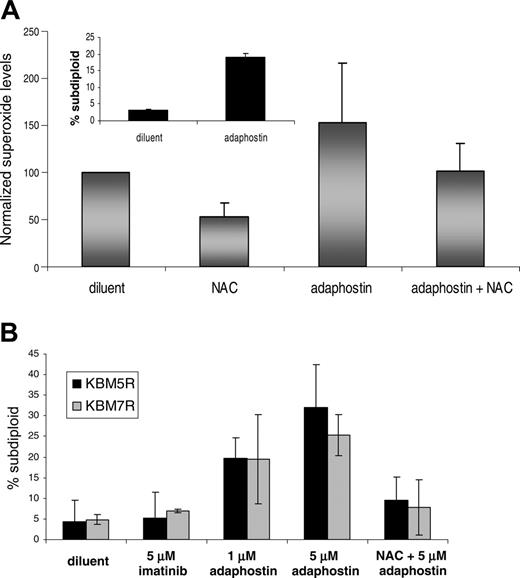Figure 2. Effects of adaphostin on imatinib-resistant human Ph+ CML cell lines.(A) The CML-derived cell line KBM5 was treated for 30 minutes with diluent, 24 mM NAC, or 5 μM adaphostin in the absence or presence of a 15-minute pretreatment with NAC. Superoxide levels were assessed by staining cells with 10 μM dihydroethidium for 30 minutes and then analyzing FL3 fluorescence by flow cytometry on a Becton Dickinson FACSCalibur. DNA fragmentation by PI staining and subsequent FACS analysis on the FL-3 channel was also assessed in KBM5 cells after a 24-hour exposure to diluent or 2.5 μM adaphostin (inset). (B) Resistant versions of the KBM5 and KBM7 lines were developed as previously described.29 KBM5R (▪) and KBM7R (▦) cells were exposed for 24 hours to 5 μM imatinib mesylate, 1 μM adaphostin alone, or 1 μM adaphostin after a 15-minute pretreatment with 24 mM NAC. DNA fragmentation was assessed by PI staining and subsequent FACS analysis as described in panel A. Reduction in subdiploid cells by NAC in combination with adaphostin was statistically significant with P = .04 for KBM5R and P = .03 for KBM7R as calculated by the Student t test. Error bars indicate SD.