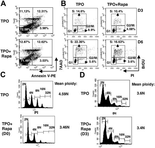 Figure 2. Flow cytometry analysis of the effect of rapamycin on the cell cycle of megakaryocytes. CD34+ cells were cultured in the presence of TPO and Rapa (100 nM; TPO + Rapa) or without Rapa (TPO). (A) Apoptosis in cycling or resting MKs was evaluated by staining with Annexin V and 7AAD at day 6 of culture. (B) Analysis by BrDU incorporation and propidium iodide (PI) staining of G1, S, and G2/M phases of cell cycle at day 3 (D3) or day 6 (D6) in culture. (C) Rapa was added at days 0, 3, and 6 to the culture. Only CD42+ MKs were analyzed for ploidy level by PI staining at day 9 of culture. The mean ploidy was calculated from the number of cells of each ploidy level. (D) Rapa was added at day 3 and day 6 to the culture. The analysis of ploidy level was performed as in panel C. Each figure shows 1 representative analysis. Two additional experiments were performed for panels A and B and 3 for panels C and D with similar results.