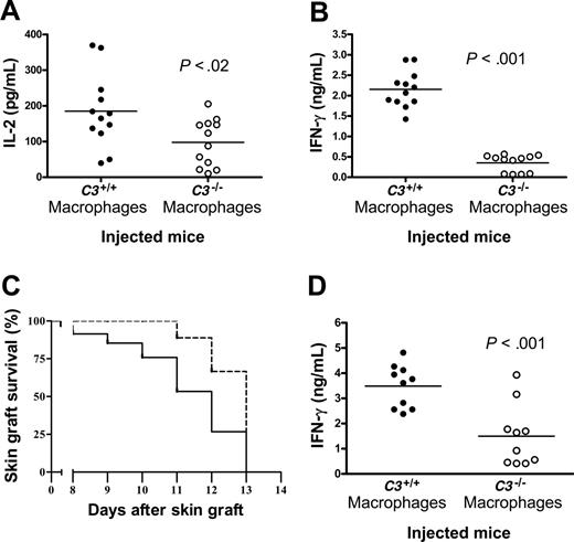 Figure 4. Reduced capacity of C3-/- macrophages for immune stimulation in vivo. BALB/c mice (n = 12/group) were given either C3+/+ or C3-/- C57BL/6 thioglycollate-elicited macrophages by intraperitoneal injection. The primed mice then received a C57BL/6 donor skin graft. T-cell responses in those BALB/c mice were then measured ex vivo by MLR at day 3 of coculture. The production of IL-2 (A) and IFN-γ (B) was measured by ELISA. Skin graft survival is shown in panel C. Data were analyzed by log-rank test. Solid line indicates C3+/+ macrophages (n = 9); dashed line, C3-/- macrophages (n = 6). P < .001. An additional experiment is shown in panel D, in which BALB/c mice (n = 10/group) were primed by skin grafting from C57BL/6 donors and rechallenged with C3+/+ or C3-/- C57BL/6 macrophages. T-cell responses in those BALB/c mice were then measured ex vivo by MLR. The production of IFN-γ was measured by ELISA (D). (A-B,D) Results from each animal are shown as separate data points, and all data points were analyzed by Student t test. P values are for comparisons between the 2 mouse groups. Additional results for MLR at days 1 to 5 of coculture are presented in Figure S3.