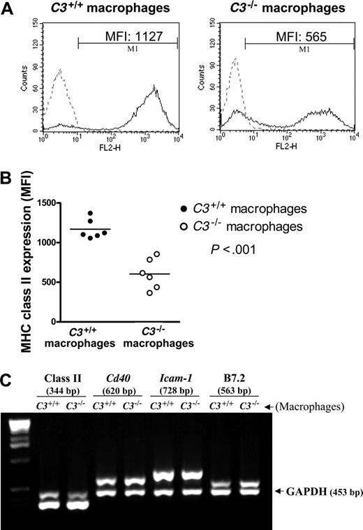 Figure 5. Reduced cell-surface expression of MHC class II in C3-/- macrophages. (A-B) Thioglycollate-elicited macrophages were prepared from C3+/+ (n = 6) and C3-/- (n = 6) mice. Cells from each mouse were then stained for surface molecule MHC class II using PE-conjugated anti-mouse Ig or isotype control Ig. (A) Representative histogram plots for C3+/+ and C3-/- peritoneal macrophages. The control peak (dashed line) corresponds to staining cells with the isotype control antibody. The detection peak (solid line) shows surface binding of specific antibody. (B) Expression levels (mean fluorescence intensities, MFI) of MHC class II on macrophages. Data were analyzed by Student t test. (C) C3+/+ and C3-/- peritoneal macrophages prepared from 4 mice in each group were pooled and used for RNA extraction and cDNA synthesis and subsequently for semiquantitative PCR. A typical agarose gel shows PCR products for MHC class II, Cd40, Icam1, B7.2, and GAPDH (internal control). Results are representative of 3 independent experiments.