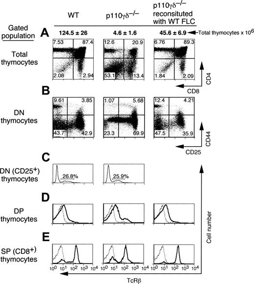 Figure 2. Role of PI3Kδ and PI3Kγ in thymocyte development. Flow cytometry analysis of expression of CD4 and CD8 on total thymocyte population (A), CD25 and CD44 on DN thymocytes (B), intracellular TCRB in CD25+ DN thymocytes (C), and TCRB on the surfaces of DP (D) and CD8+ (E) thymocytes. Percentage of gated cells in a particular quadrant is indicated. Data are representative of 3 independent experiments. Total thymocyte counts are in bold (mean ± SE; n = 5).