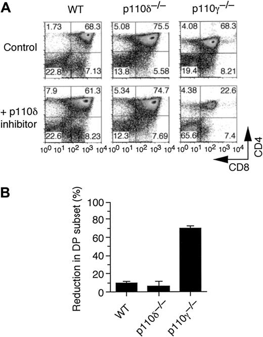 Figure 3. Contribution of p110γ and p110δ activity in thymocyte development in vitro. (A) Representative flow cytometry profiles of fetal thymic organ cultures harvested from day 14.5 WT, p110δ-/-, and p110γ-/- embryos that were treated with either vehicle control or p110δ-specific inhibitor IC87114 (10 μM) for 1 week. (B) Percentage reduction in DP thymocyte population after treatment with IC87114 compared with control treatment (mean ± SE; n = 3).